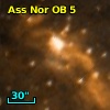 Ass Nor OB   5-