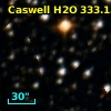 Caswell H2O 333.13-00.43