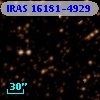 IRAS 16181-4929