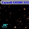 Caswell CH3OH 333.466-00.164