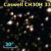 Caswell CH3OH 333.029-00.015