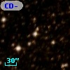 CD-49 10773