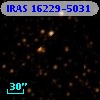 IRAS 16229-5031