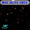 IRAS 16231-5021
