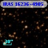 IRAS 16236-4905