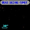 IRAS 16246-5007