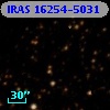 IRAS 16254-5031