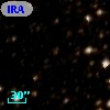 IRAS 16262-5040