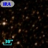 IRAS 16286-4905