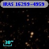 IRAS 16289-4959