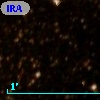 IRAS 16292-4903