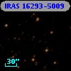 IRAS 16293-5009