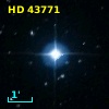 HD  43771