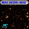 IRAS 16289-4842