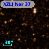 XZLJ Nor  37