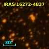 IRAS 16272-4837