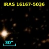 IRAS 16167-5036