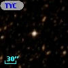 TYC 8333-253-1
