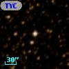 TYC 8333-1031-1