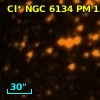 Cl* NGC 6134     PM      15