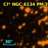 Cl* NGC 6134     PM      39