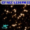 Cl* NGC 6134     PM      53