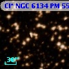 Cl* NGC 6134     PM      55