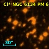Cl* NGC 6134     PM      61