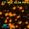 Cl* NGC 6134     PM      62