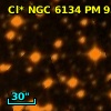 Cl* NGC 6134     PM      95