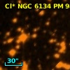 Cl* NGC 6134     PM      98