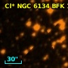 Cl* NGC 6134    BFK    1046