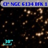 Cl* NGC 6134    BFK    1115
