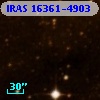 IRAS 16361-4903