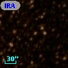 IRAS 16369-4931