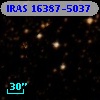 IRAS 16387-5037
