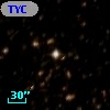 TYC 8333-207-1