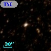 TYC 8333-691-1