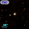 TYC 8334-1205-1