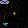 TYC 8337-2113-1