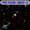 TYC 8338-1037-1