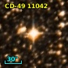 CD-49 11042