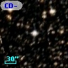 CD-51 10599