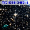 TYC 8339-2460-1
