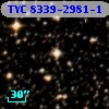 TYC 8339-2981-1