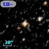 CD-50 11115