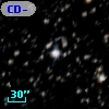 CD-50 11135