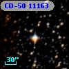 CD-50 11163