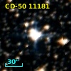 CD-50 11181