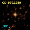 CD-50 11239